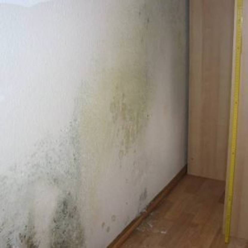 Schimmel an der Wand