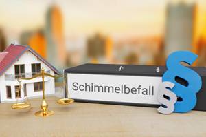 schimmeltest-haus