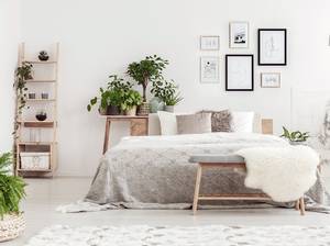 schlafzimmer-einrichten-pflanzen