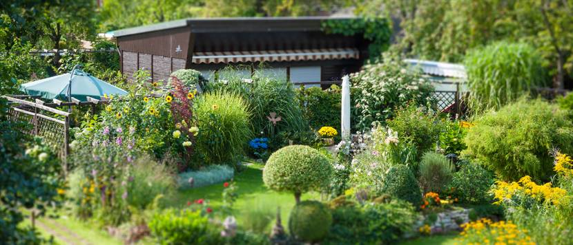 schrebergarten mit huette