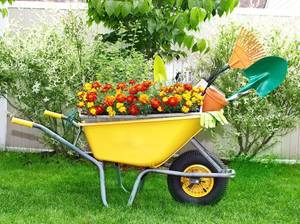 schubkarre-garten