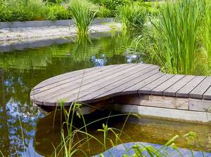 schwimmteich-ohne-technik
