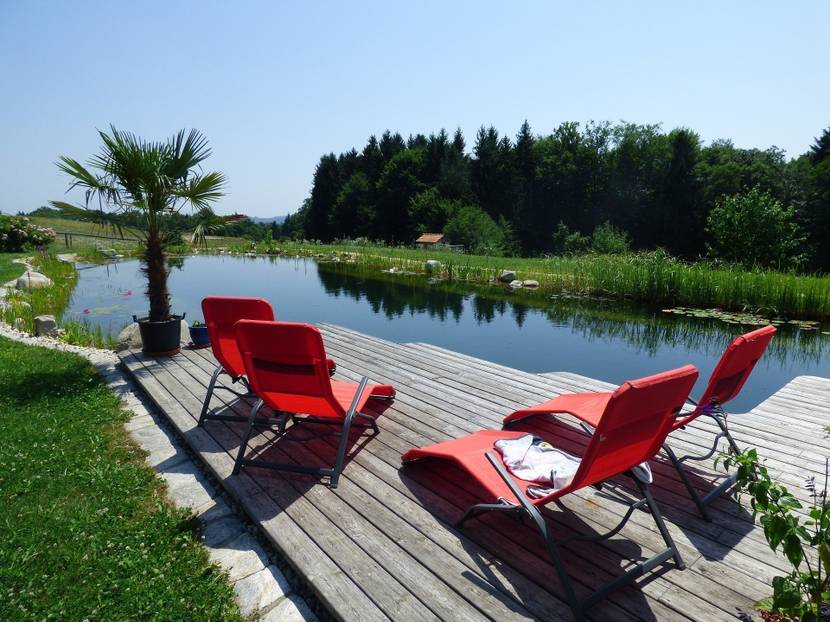 Großer Schwimmteich
