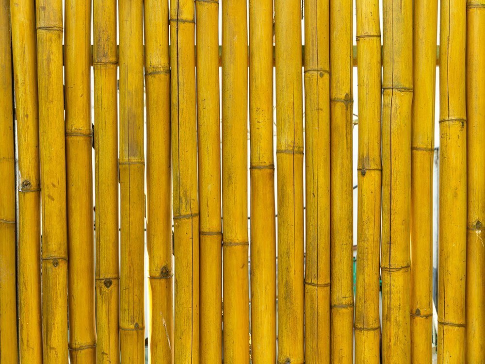 sichtschutz-aus-bambus