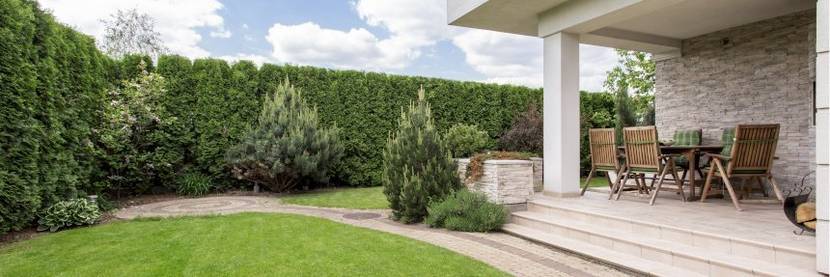 Sichtschutz für Garten: Zaun oder Hecke?