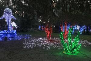 solar-lichterkette-aussen-bunt