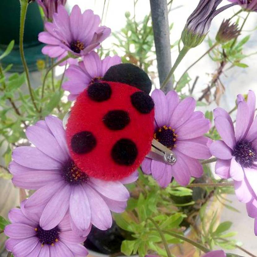 sommerliche-tiere-insekten