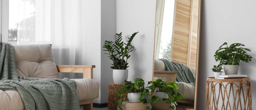 Großer Spiegel steht in einem Wohnzimmer neben Pflanzen und einem Sofa.