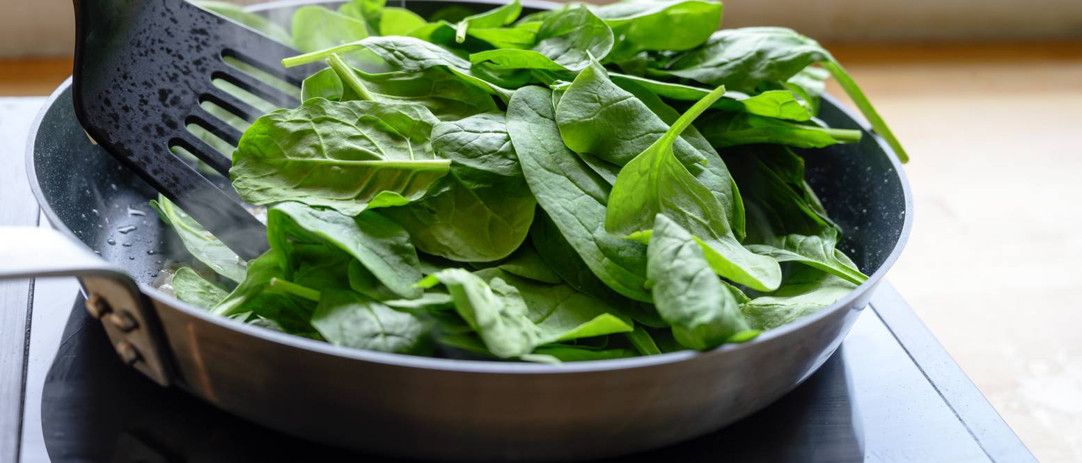 Spinat pflanzen Frischer Spinat im eigenen Garten heimwerker.de