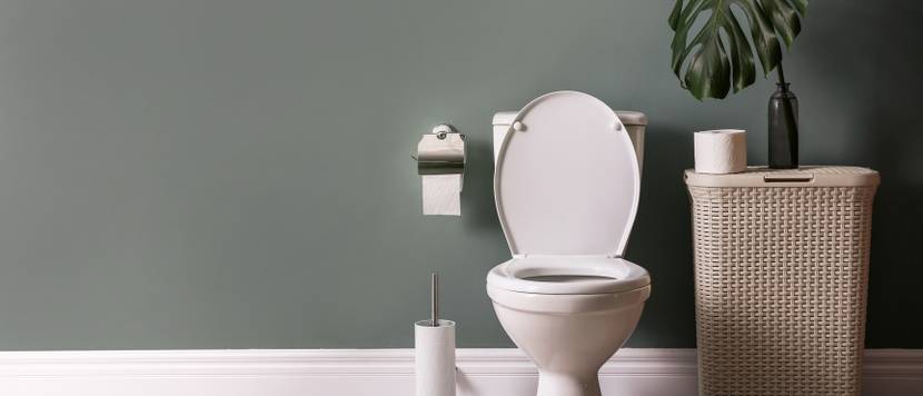 WC in modernem Badezimmer.