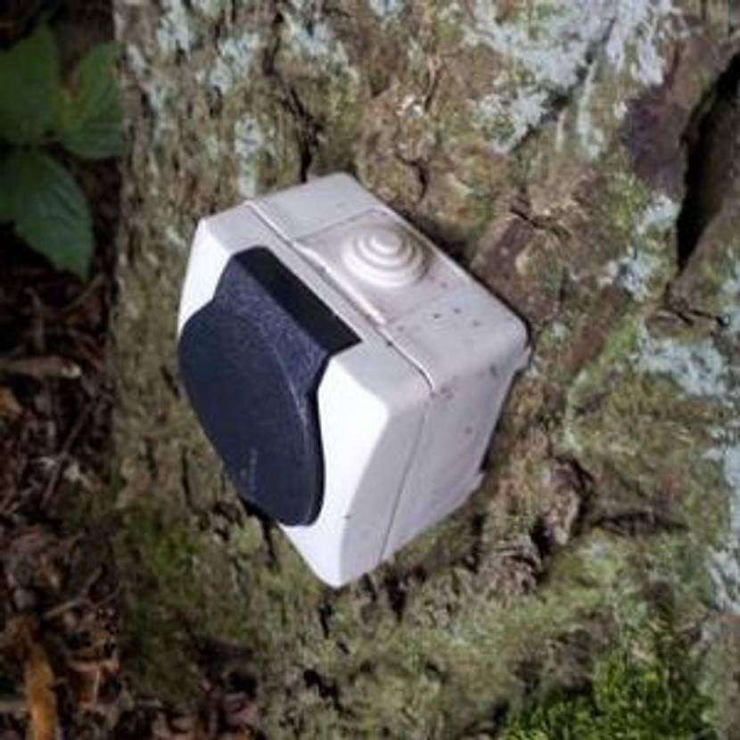 Steckdosen im Garten werden oft gut versteckt.