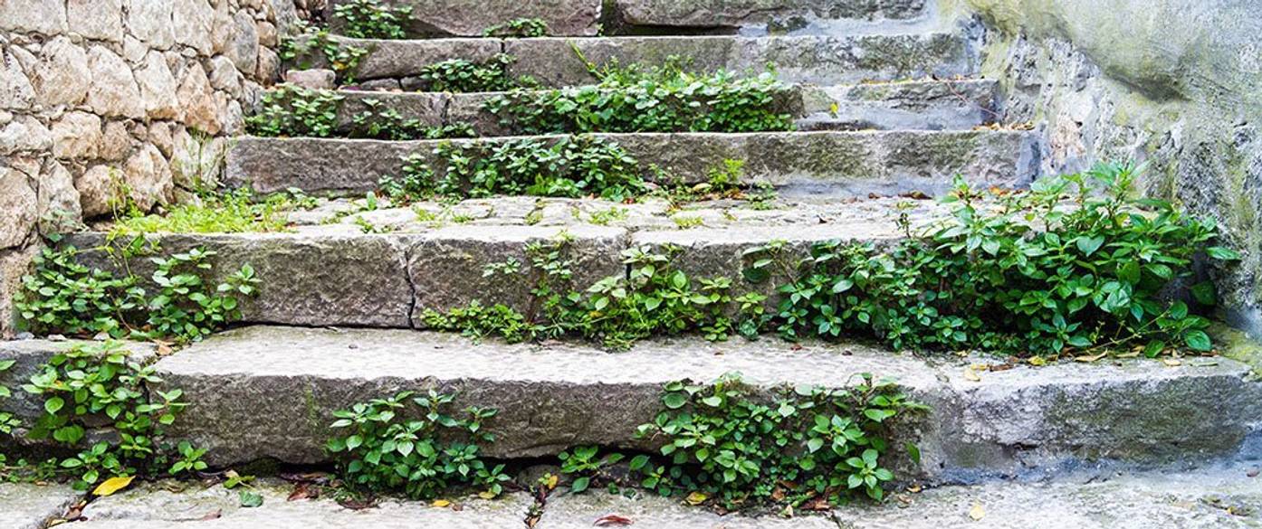 Steintreppe renovieren Tipps und Tricks für die Treppensanierung heimwerker.de