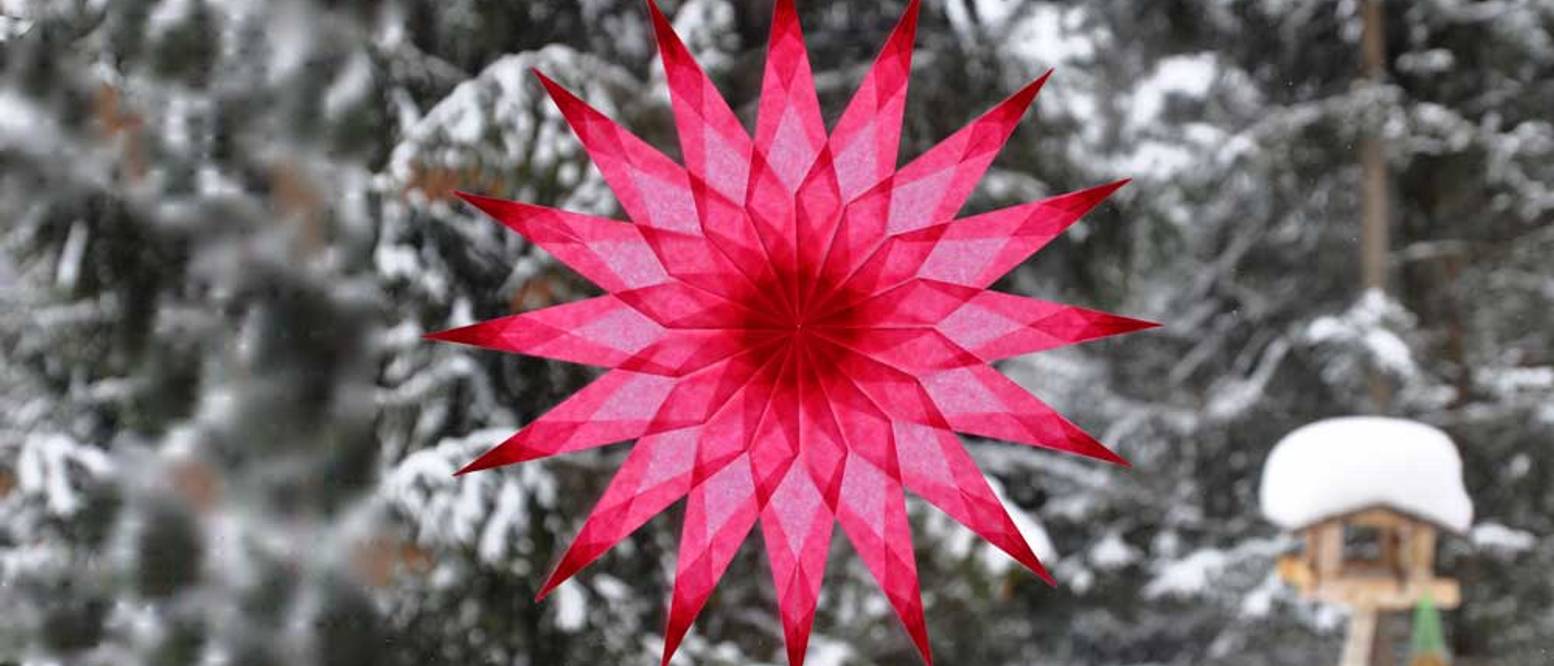 Origami-Sterne falten: Über 20 Anleitungen für 3D-Sterne - heimwerker.de