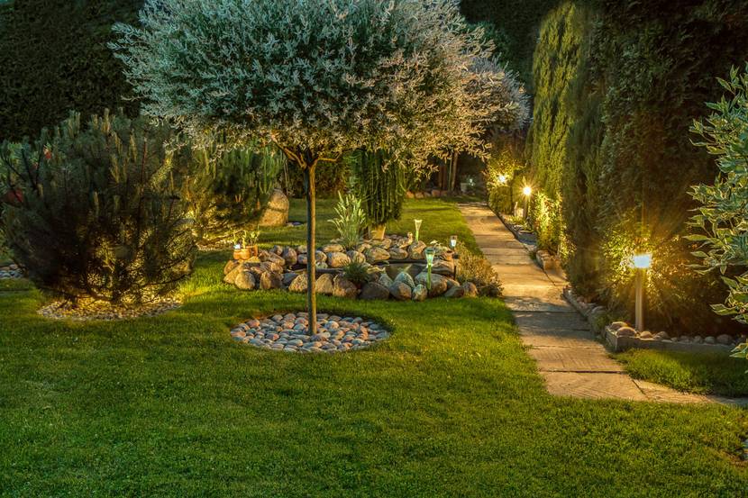 Ein mediterran angehauchter Garten mit einem Olivenbaum, Hecken und Büschen wird durch Lampen ausgeleuchtet.