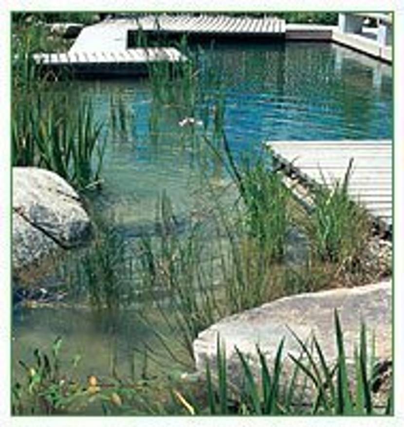 Auch ein natürlicher Teich kann zum Baden genutzt werden.