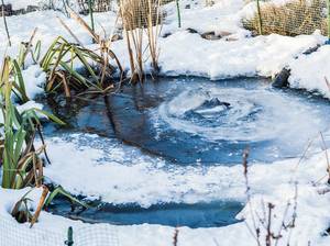 teich-winterfest-machen-eis