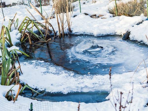 Teich winterfest machen 3 einfache Tipps für den Gartenteich