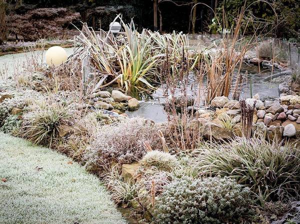 Teich winterfest machen 3 einfache Tipps für den Gartenteich
