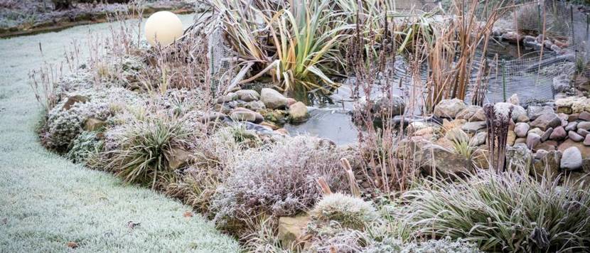 teichbeluefter-winterfest