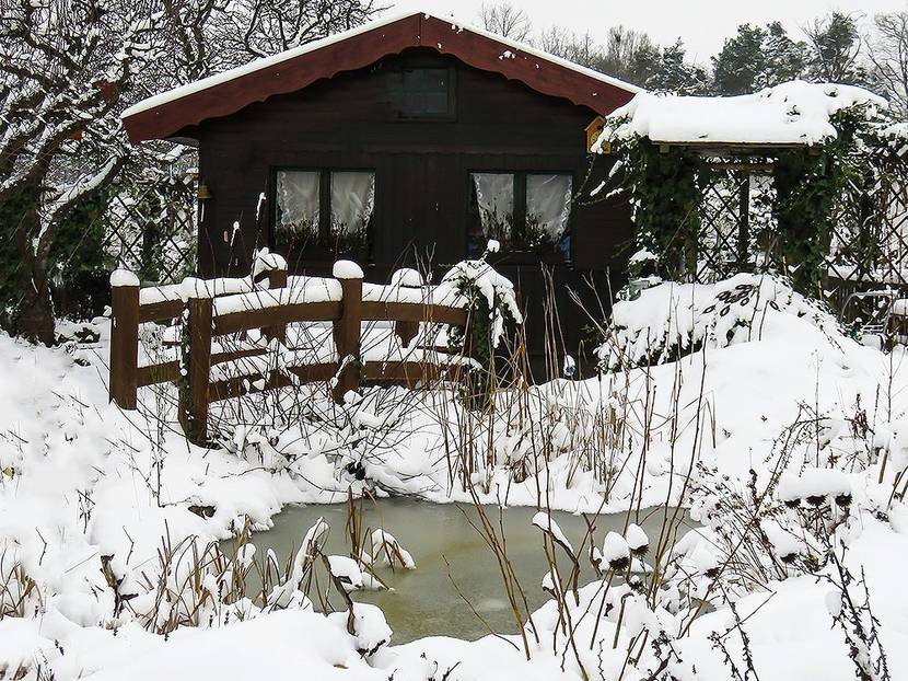 teich im winter