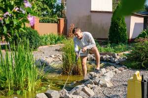 teich pflegen