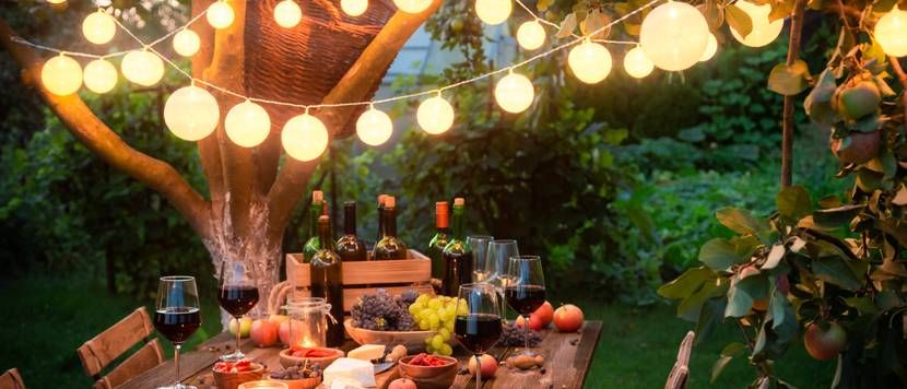 tisch im garten
