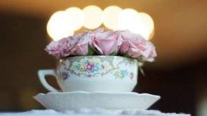 Rosen in einer Tasse