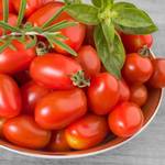 tomaten-anbauen-cocktailtomaten