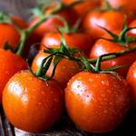 tomaten-anbauen-kirschtomaten