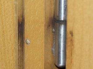 tuer-einstellen-4