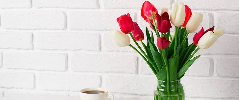 tulpen-frisch-halten