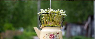 teekanne mit blumen