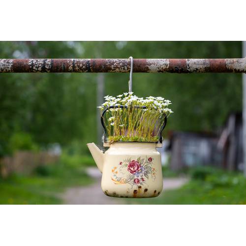 kleiner topf wmf Quality One Kochtopf klein 16cm, mit Glasdeckel mit Dampföffnung, Nudeltopf, Fleischtopf Induktion 2l, Cromargan Edelstahl poliert, unbeschichtet Küche, Haushalt & Wohnen Lemon
