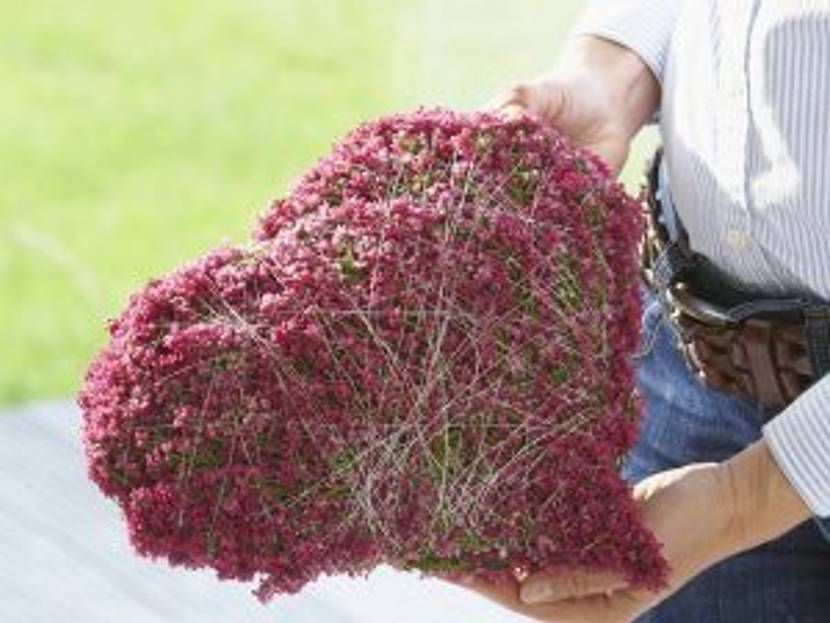 valentinsherzen-blumen-herz-aus-heide