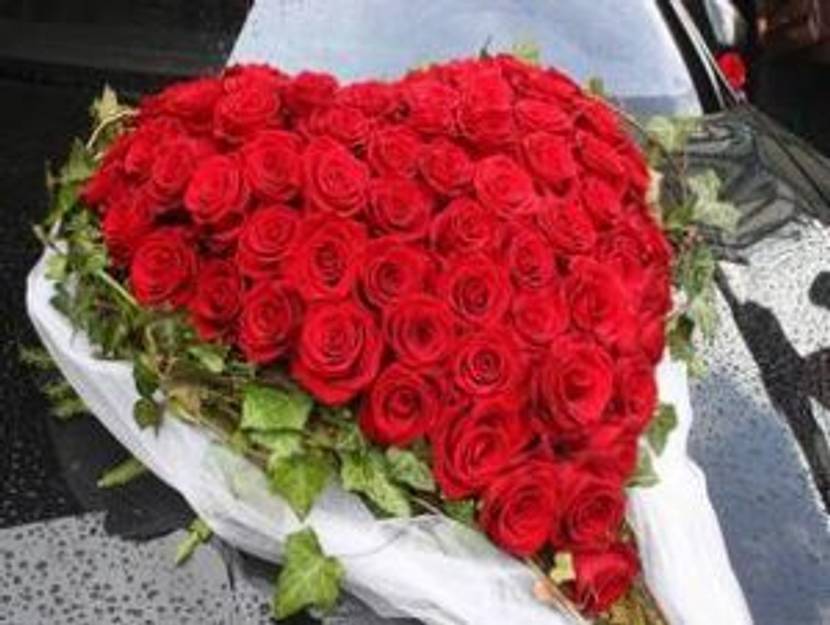 valentinsherzen-blumen-rote-rosen