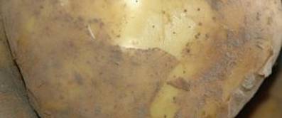 Kochen zum Valentinstag