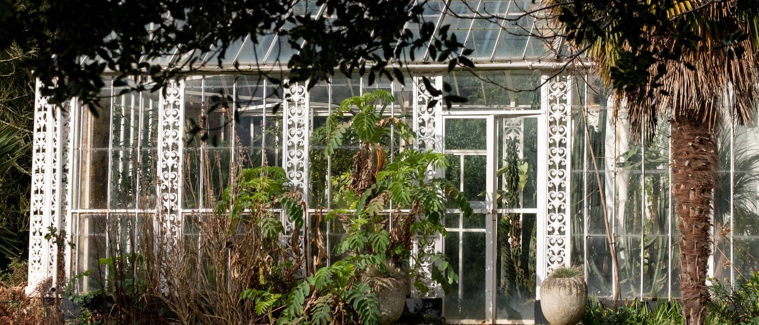 Englischen Garten anlegen Einen Naturgarten in 3 Schritten gestalten
