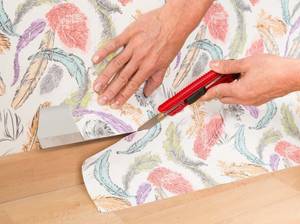 Tipps Vliestapete
