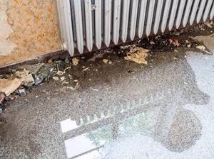 Wasserpfütze vor Heizung und zerstörte Tapeten
