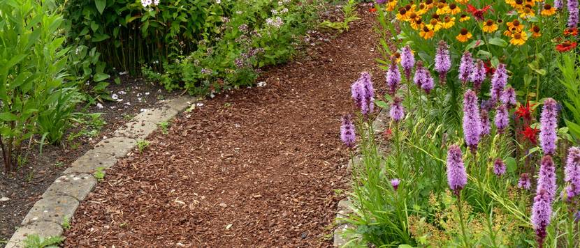 weg aus rindenmulch