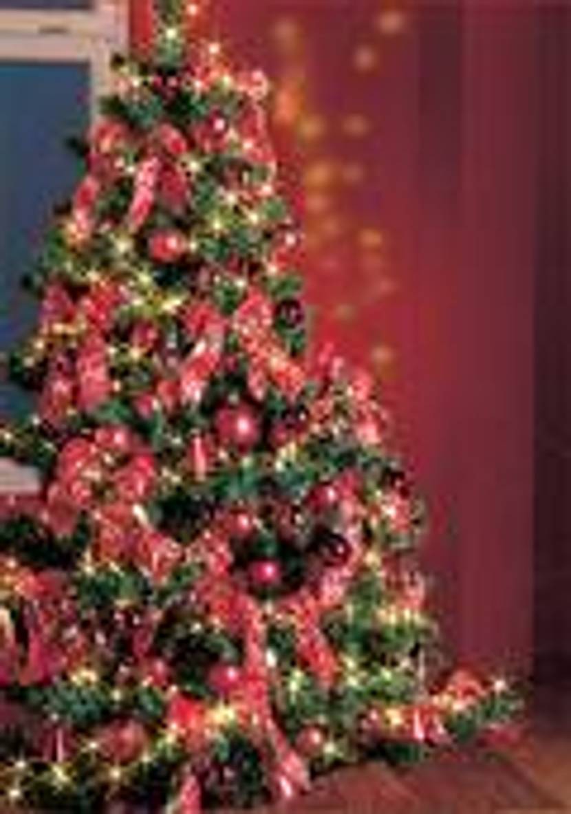 weihnachtsbaum-4