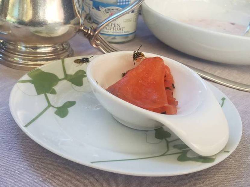 Wespenfalle: Auf Lachs fallen Wespen rein