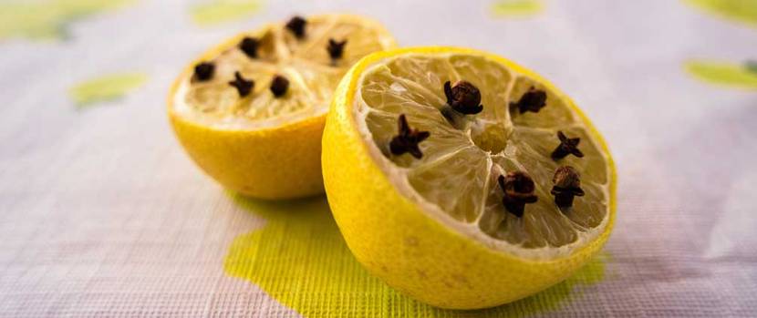 Zitronen gespickt mit Nelken zur Abwehr von Wespen