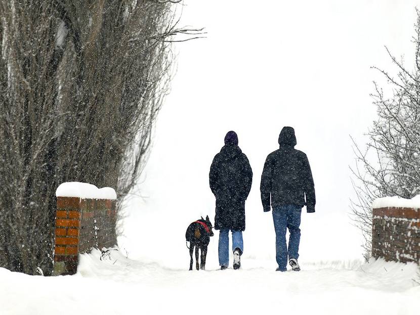 Spaziergang mit Hund im Schneetreiben