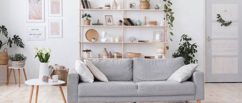 couch im wohnzimmer mit regal und pflanzen