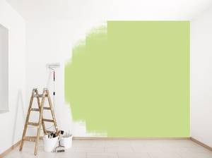 grüne Wand streichen
